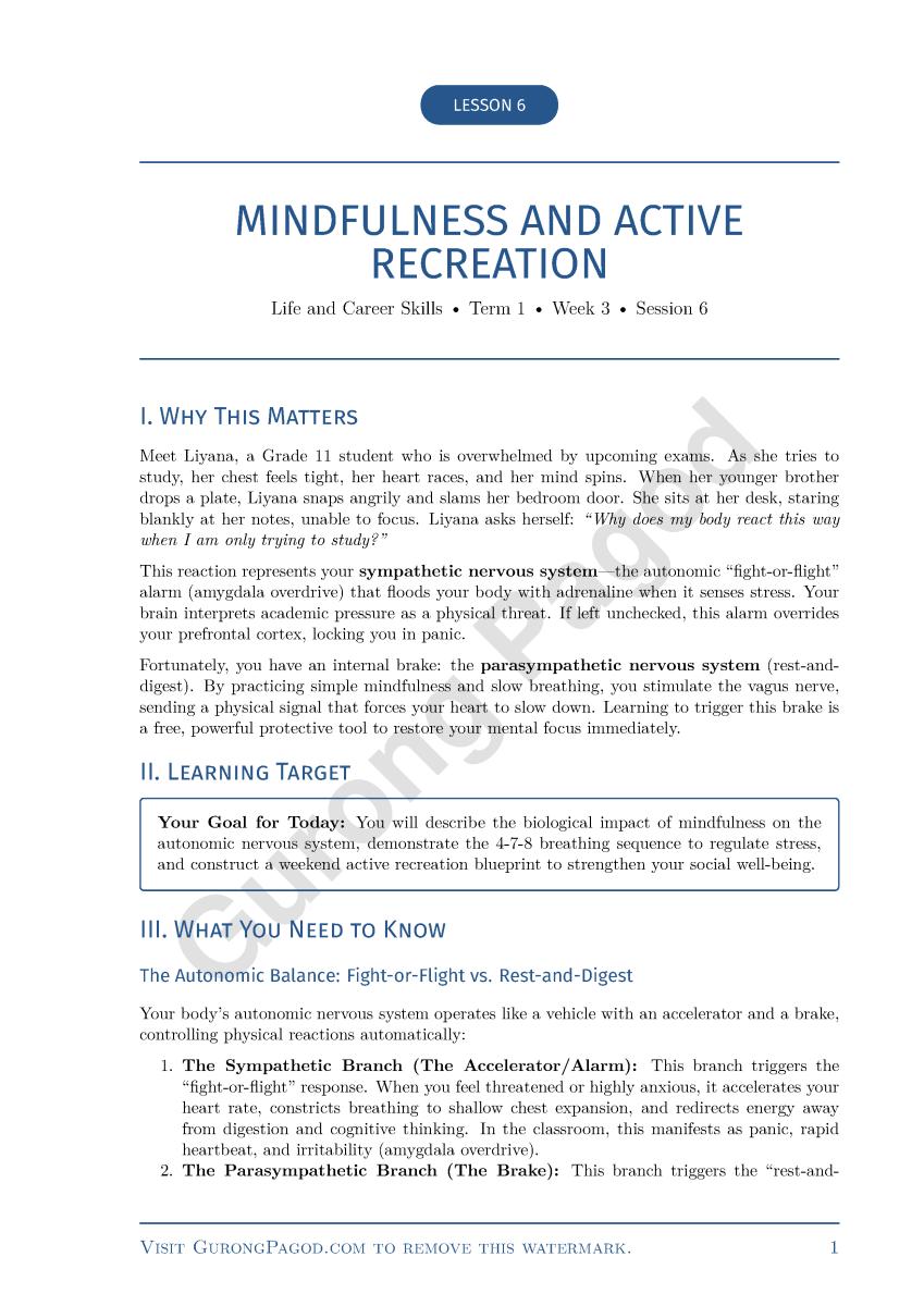 Lesson 6 - Mindfulness and Active Recreation preview fragment
